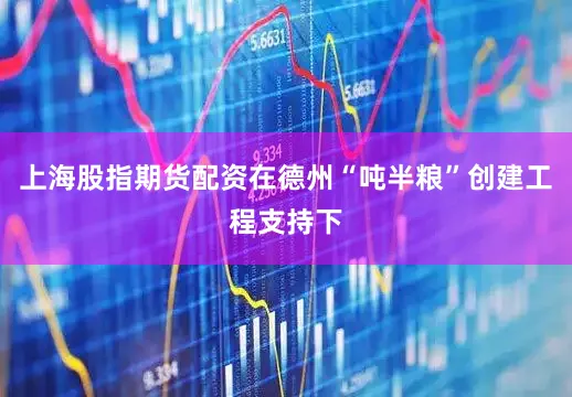 上海股指期货配资在德州“吨半粮”创建工程支持下