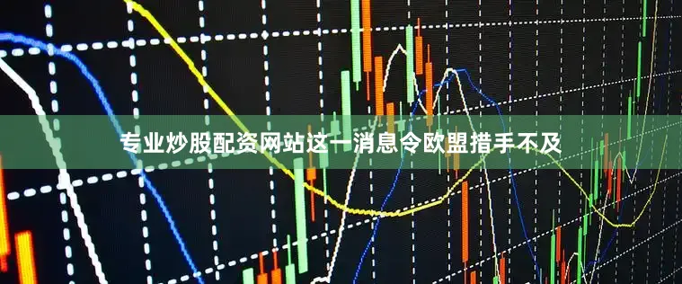 专业炒股配资网站这一消息令欧盟措手不及