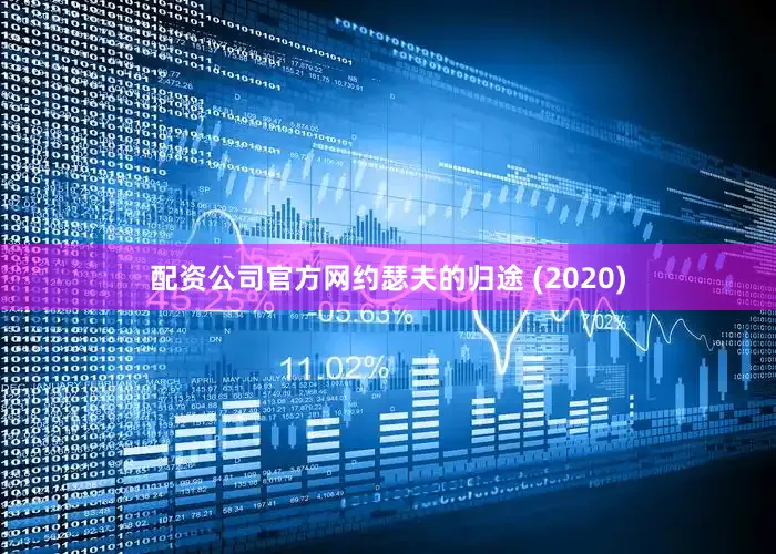 配资公司官方网约瑟夫的归途 (2020)