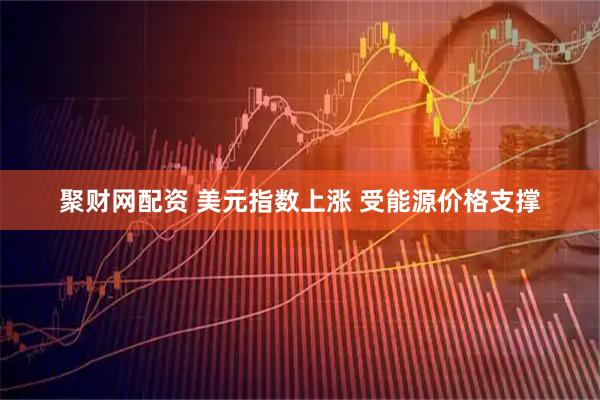 聚财网配资 美元指数上涨 受能源价格支撑
